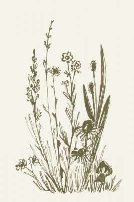 Wildflowers ink sketch