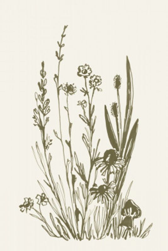 Wildflowers ink sketch