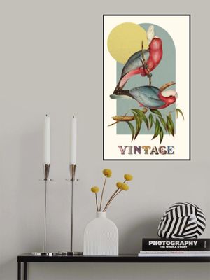 Vintage Birds