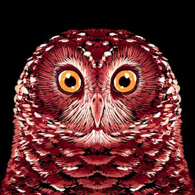 Bird Series   Owl 1