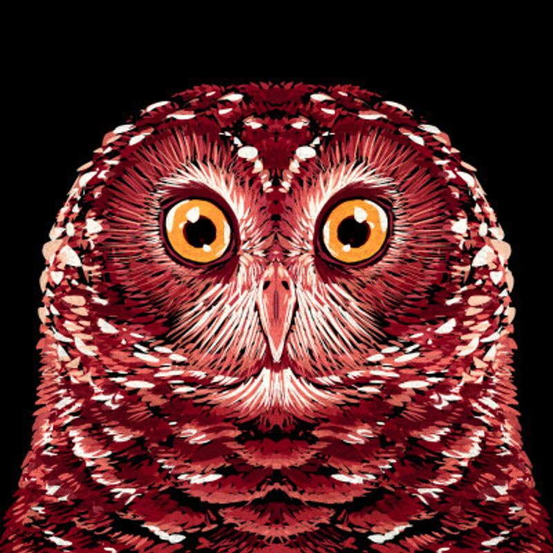Bird Series   Owl 1