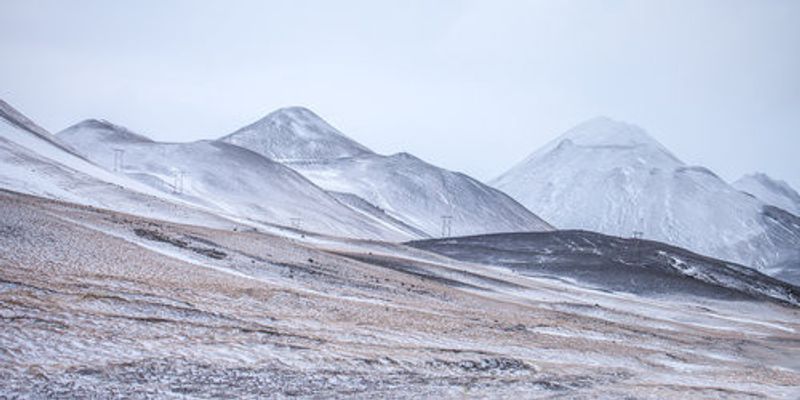 Painted by the severe winds
