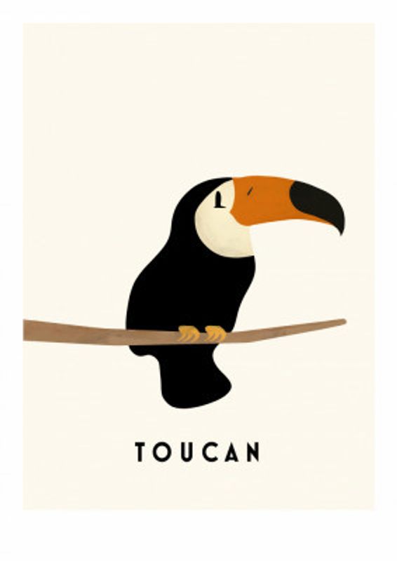 Tucan
