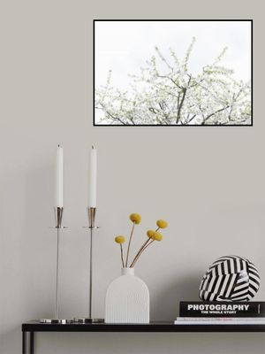 White Spring Tree 2