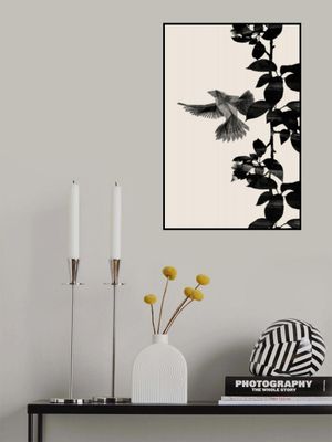 Bird Botanical a 20x30