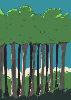 Forest Trees