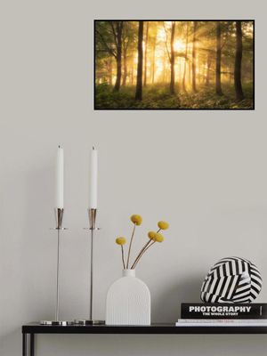 It's nice to love.......