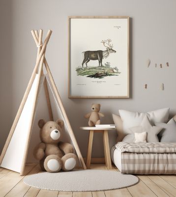 Reindeer By Johann Andreas Wagener and Johann Christian Daniel Von Schreber.