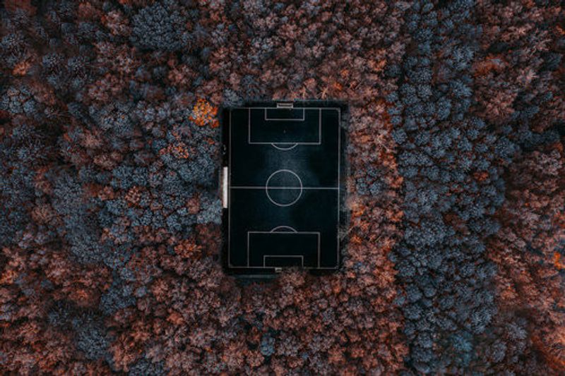 playing in the forest