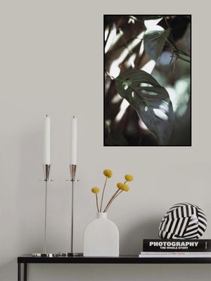 Monstrea Leaves Nature_1