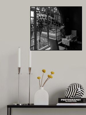 Giraffe Manor in kenya