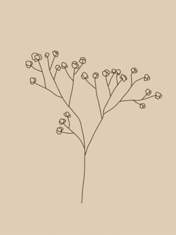 Delicate Line Blossoms