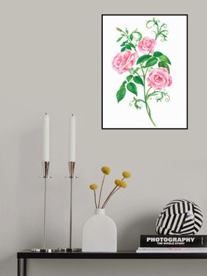 Beauty Of Blooming Roses