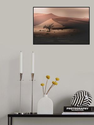 I Still Greet the Morning