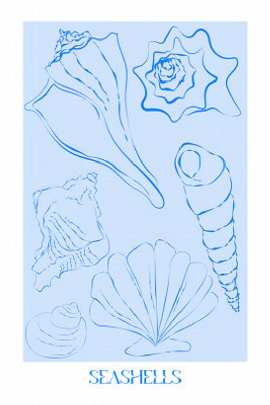 Seashells