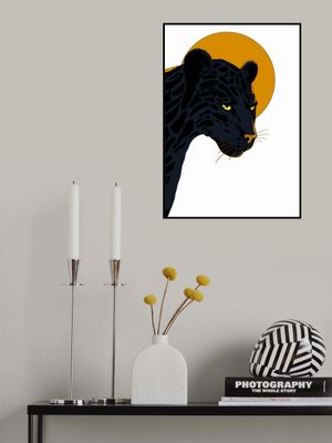 Big Cat