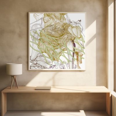 Tectumque 2.0 series