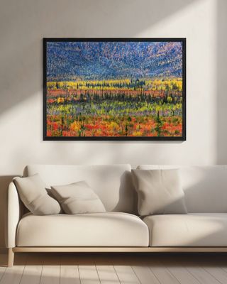 Fall Color in The Mountain