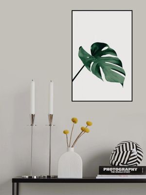 Monstera Natural 05