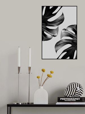 Monochrome Mostera Poster