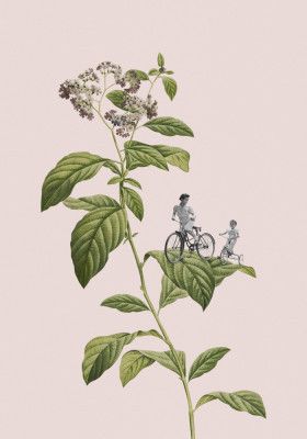 Botanical cycling