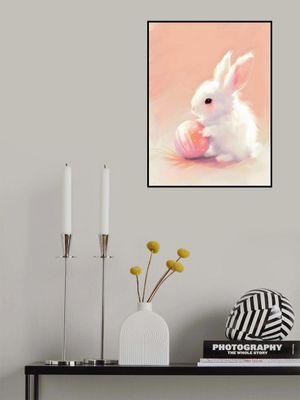 Whiskers and Wonders