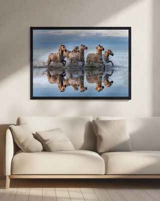 Horses and reflection