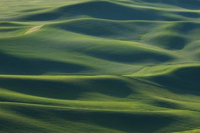 The Earth's Fine Skin