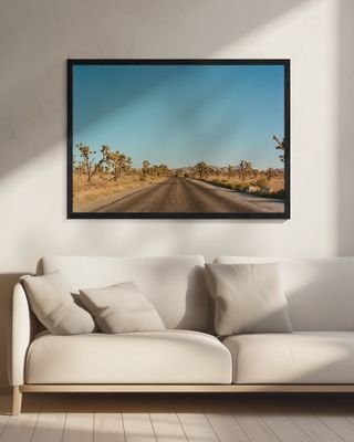 Joshua Tree Road