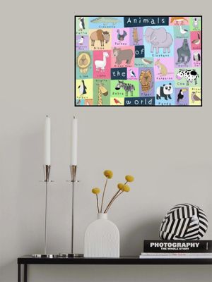 Animals of the World Illustration by Artist Carla Daly