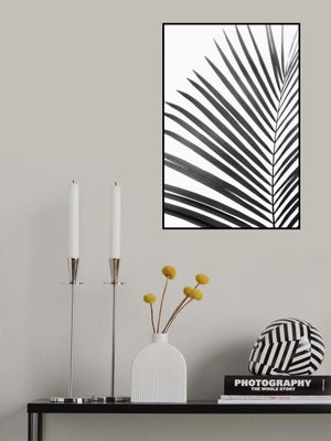 BW Palm Leaf