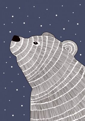 Polar Bear Night Gaze