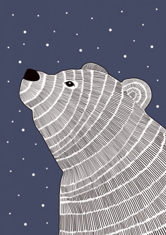 Polar Bear Night Gaze
