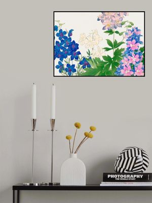 Delphinium Flower No.2