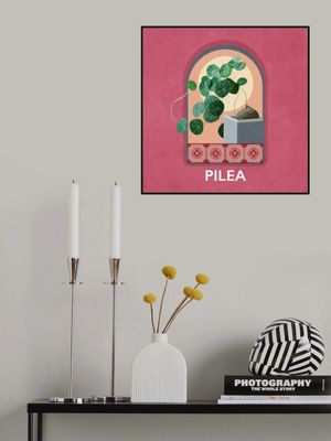Green Sets Pilea