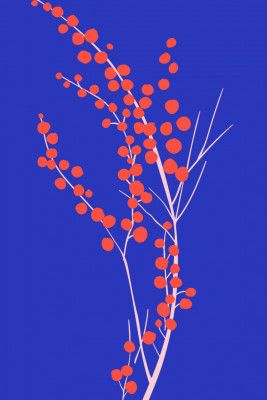 Xmas Christmas (2025) – 00061