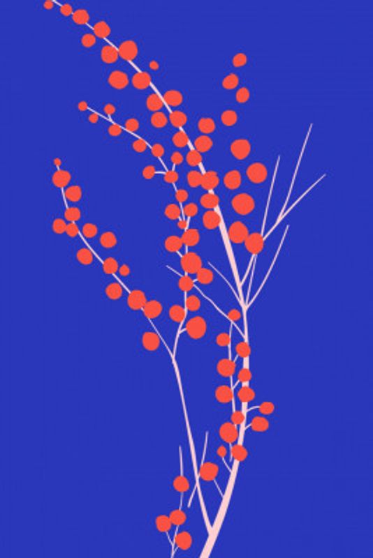 Xmas Christmas (2025) – 00061