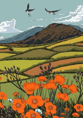 Summer Landscape And Rolling Hills