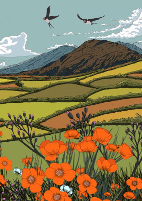 Summer Landscape And Rolling Hills