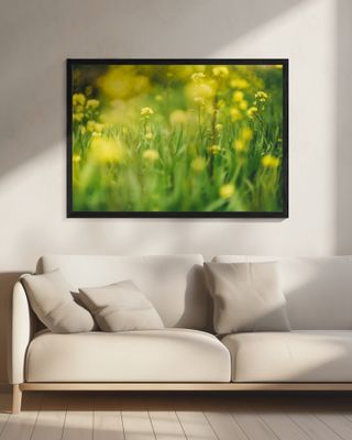 Vibrant Yellow Wild Flowers