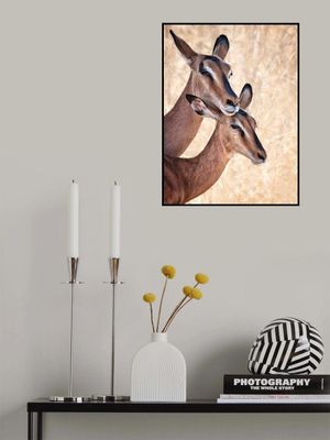 Do not worry, I'm here