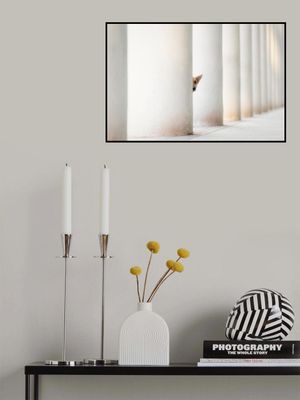 Bella - and the Pillars of the Earth...