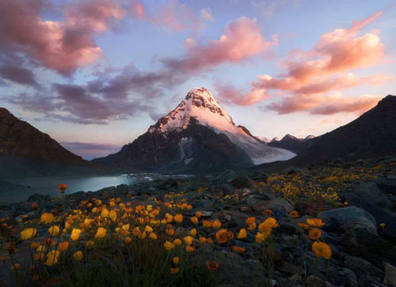 花海中的小珠峰