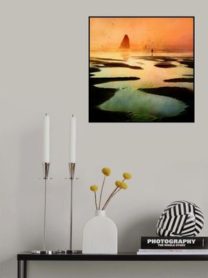 Not alone at the beach