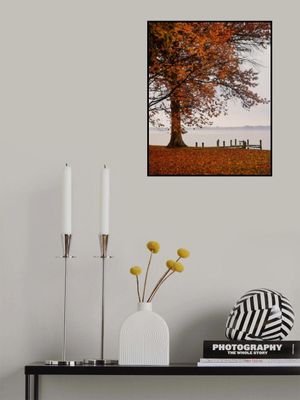 Autumn in Saint Michaels