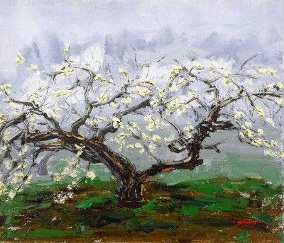 Blossoming Tree With Delicate White Flowers