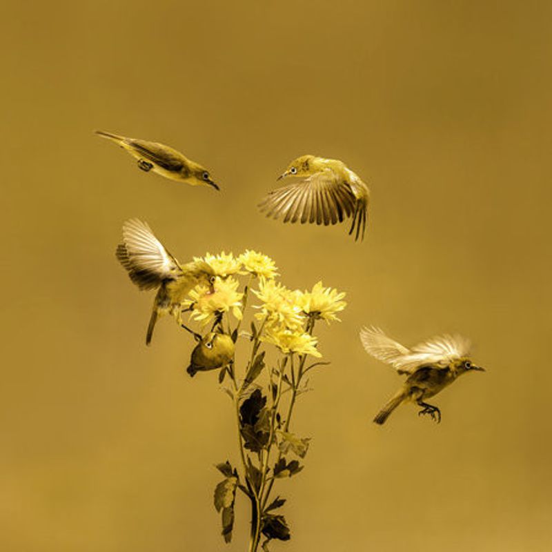 When The Morning Comes