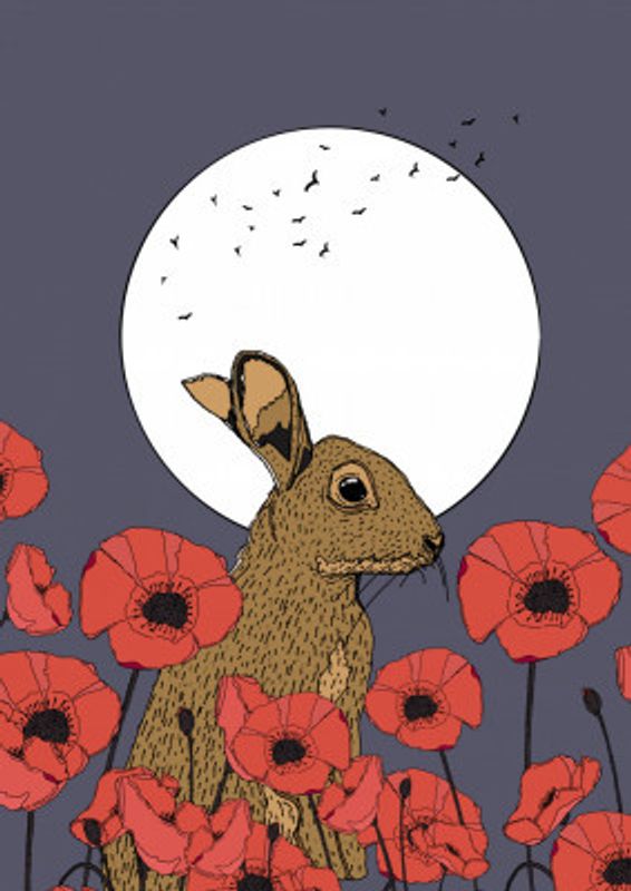 Rabbit Surrounded by Vibrant Poppies