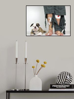 Get A Puppy, They Said