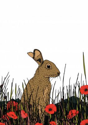 Rabbit Among Poppy Flowers
